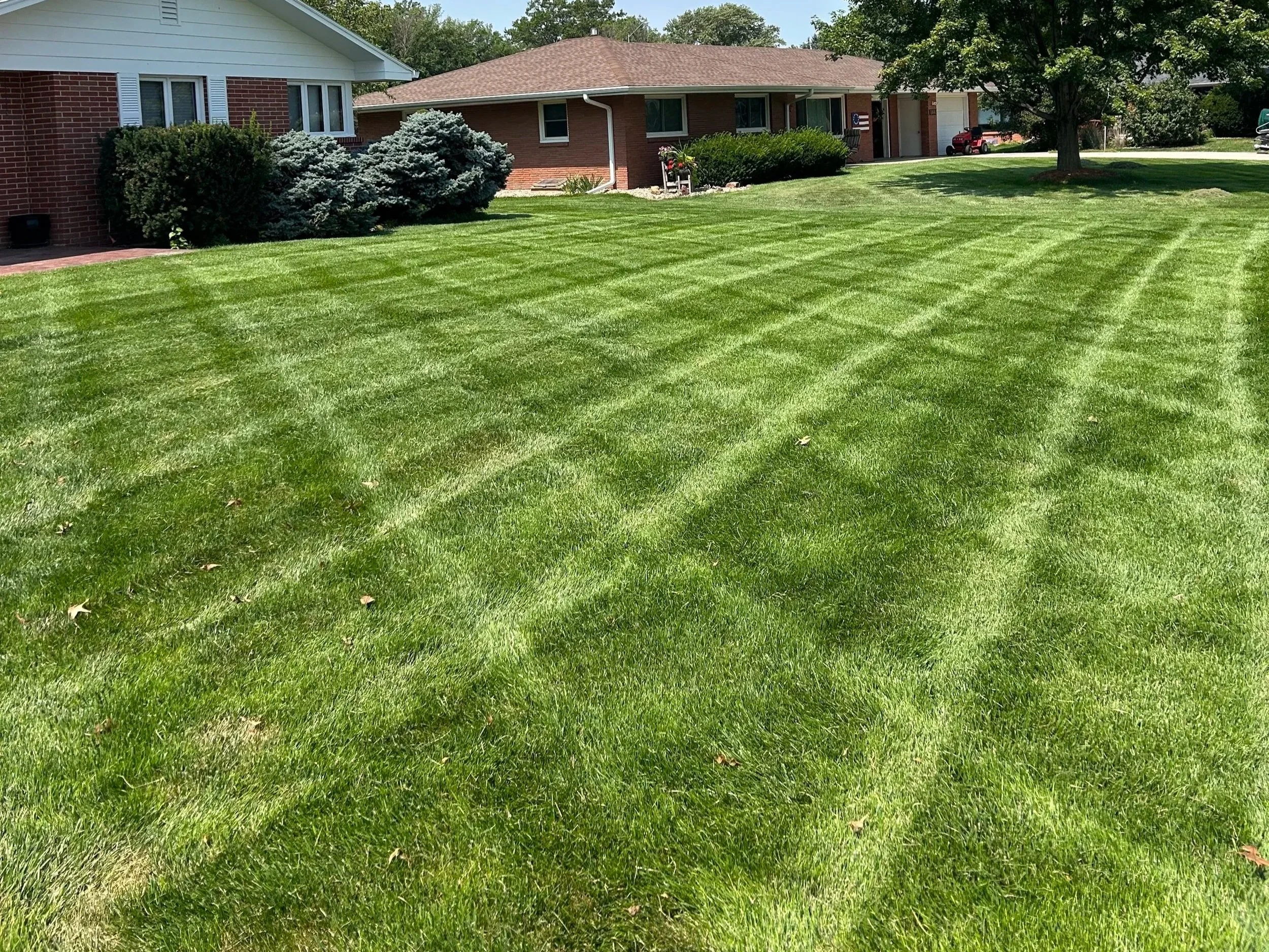 Suhr+Lawn.jpg