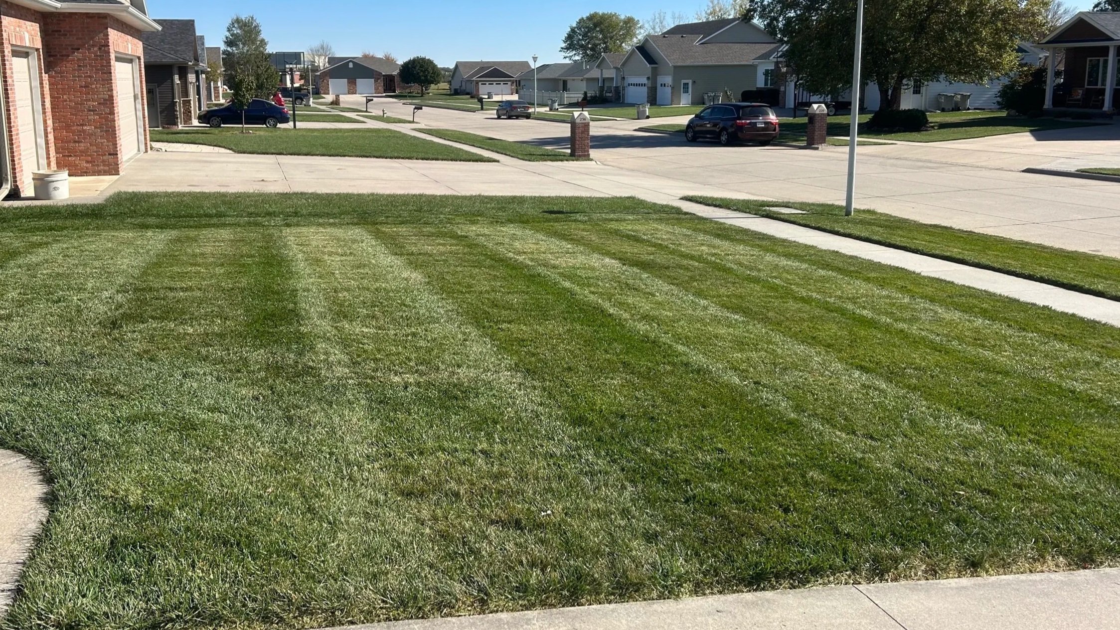 Siedhoff+Lawn.jpg