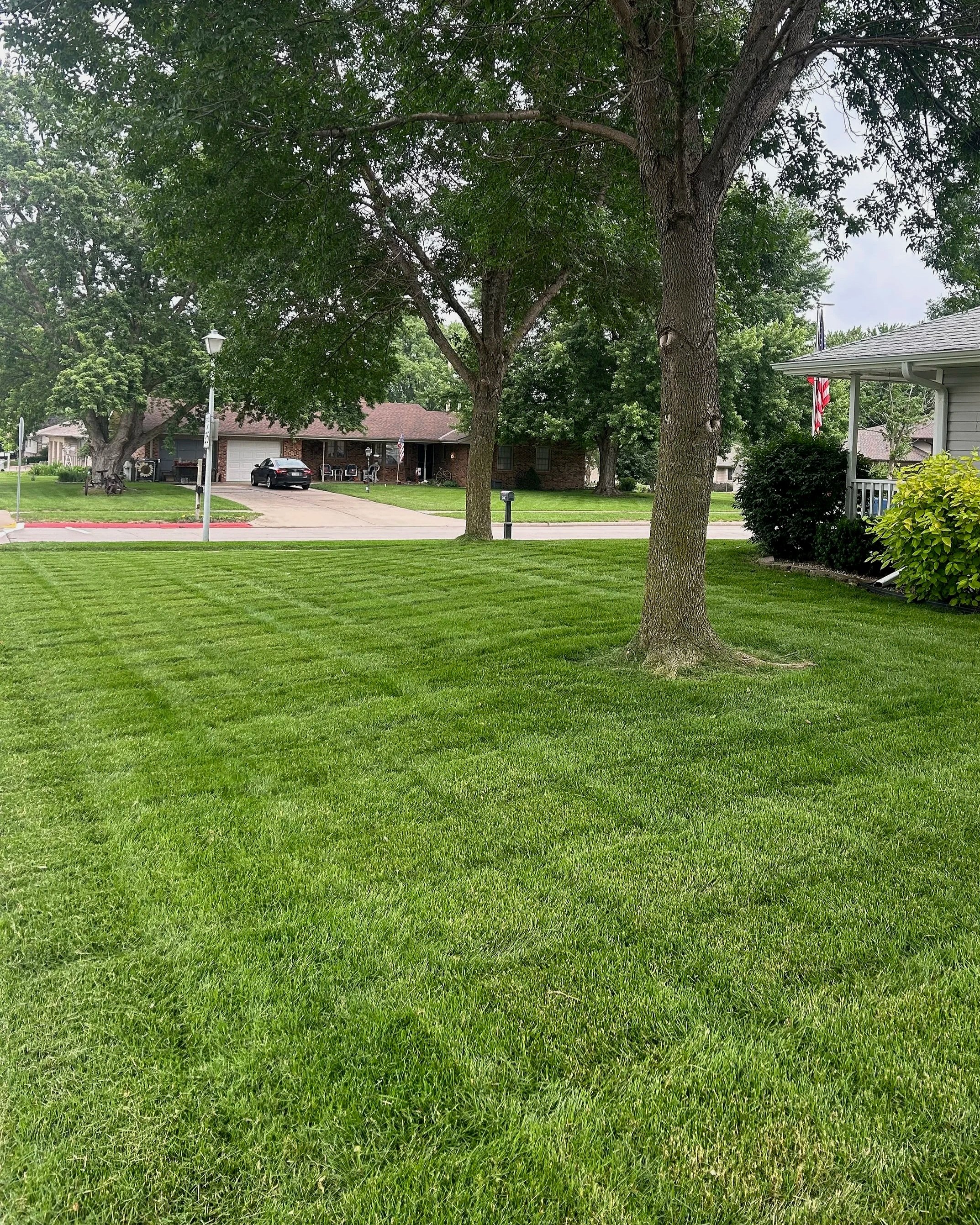 Klebe+Lawn.jpg