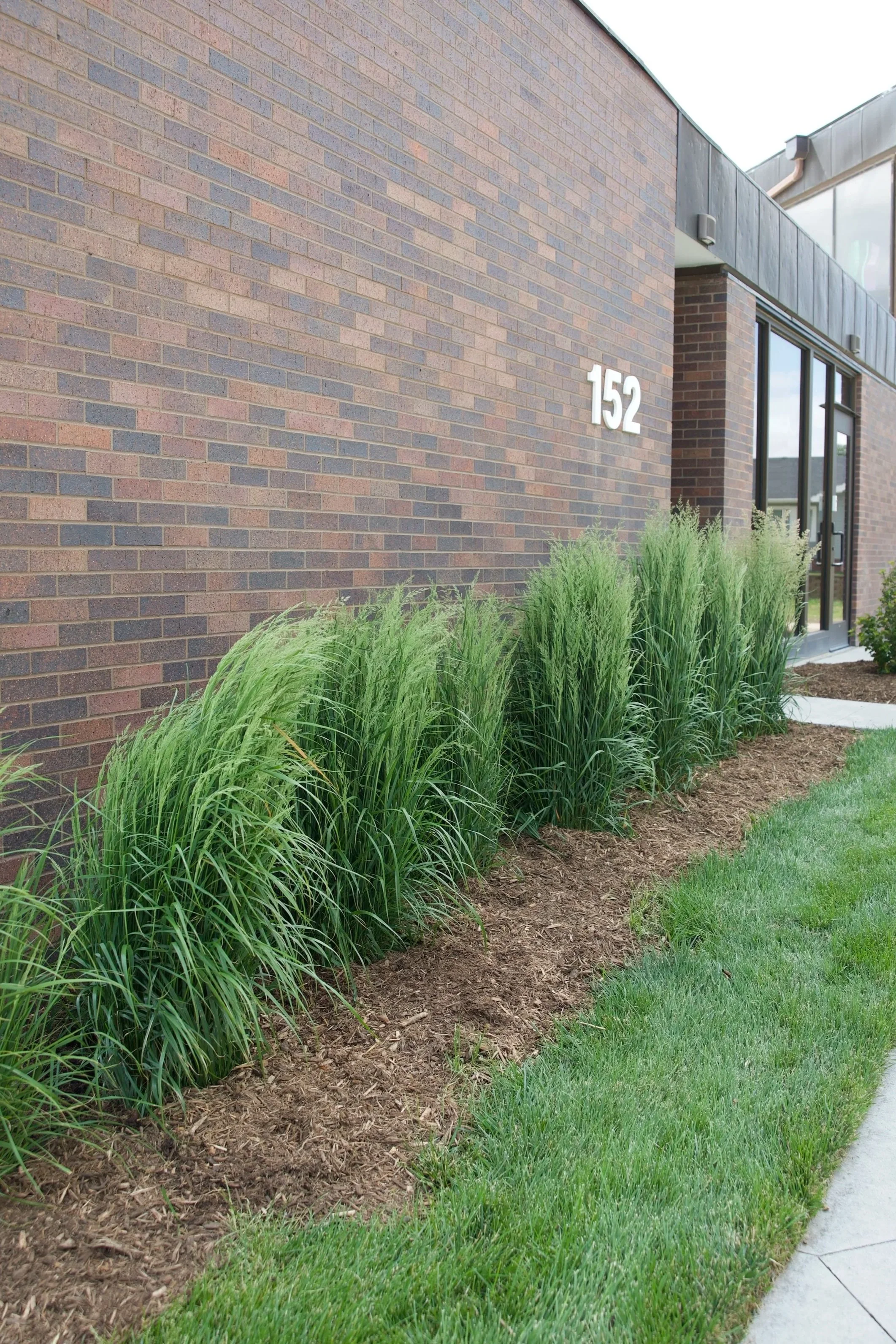 mulch+install.jpg