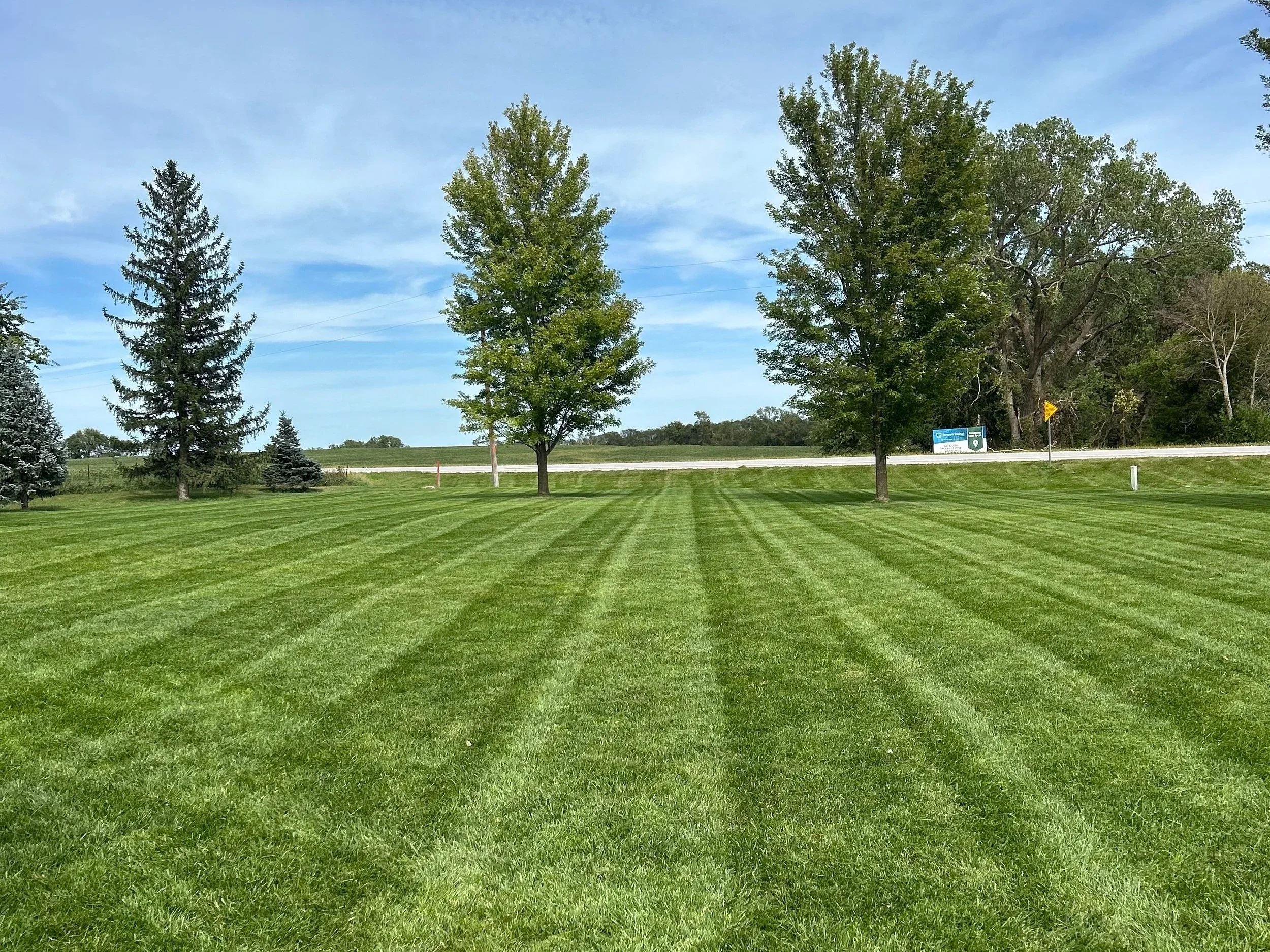 Mowing Serivices.jpg