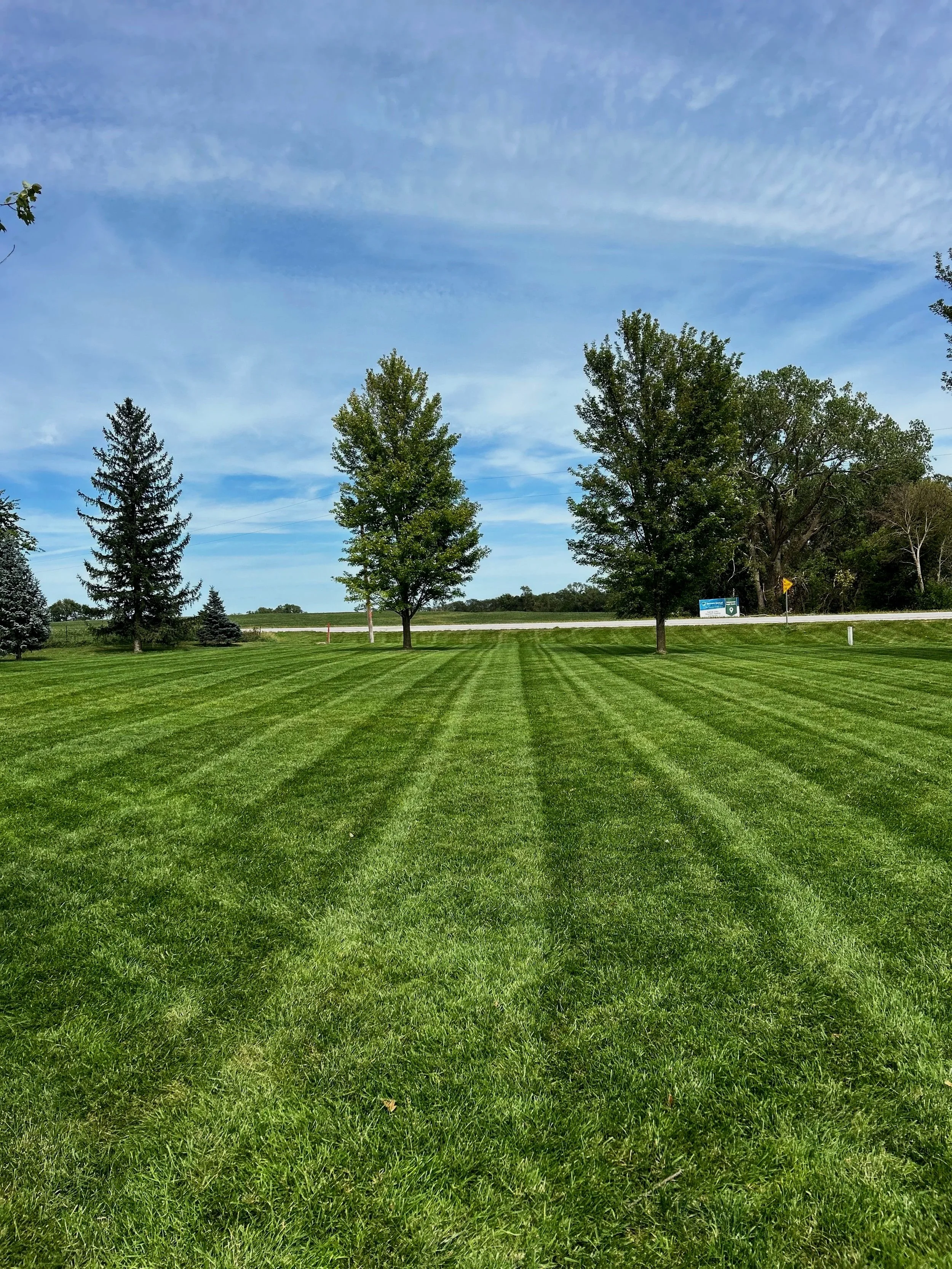 Mowing Serivices.jpg