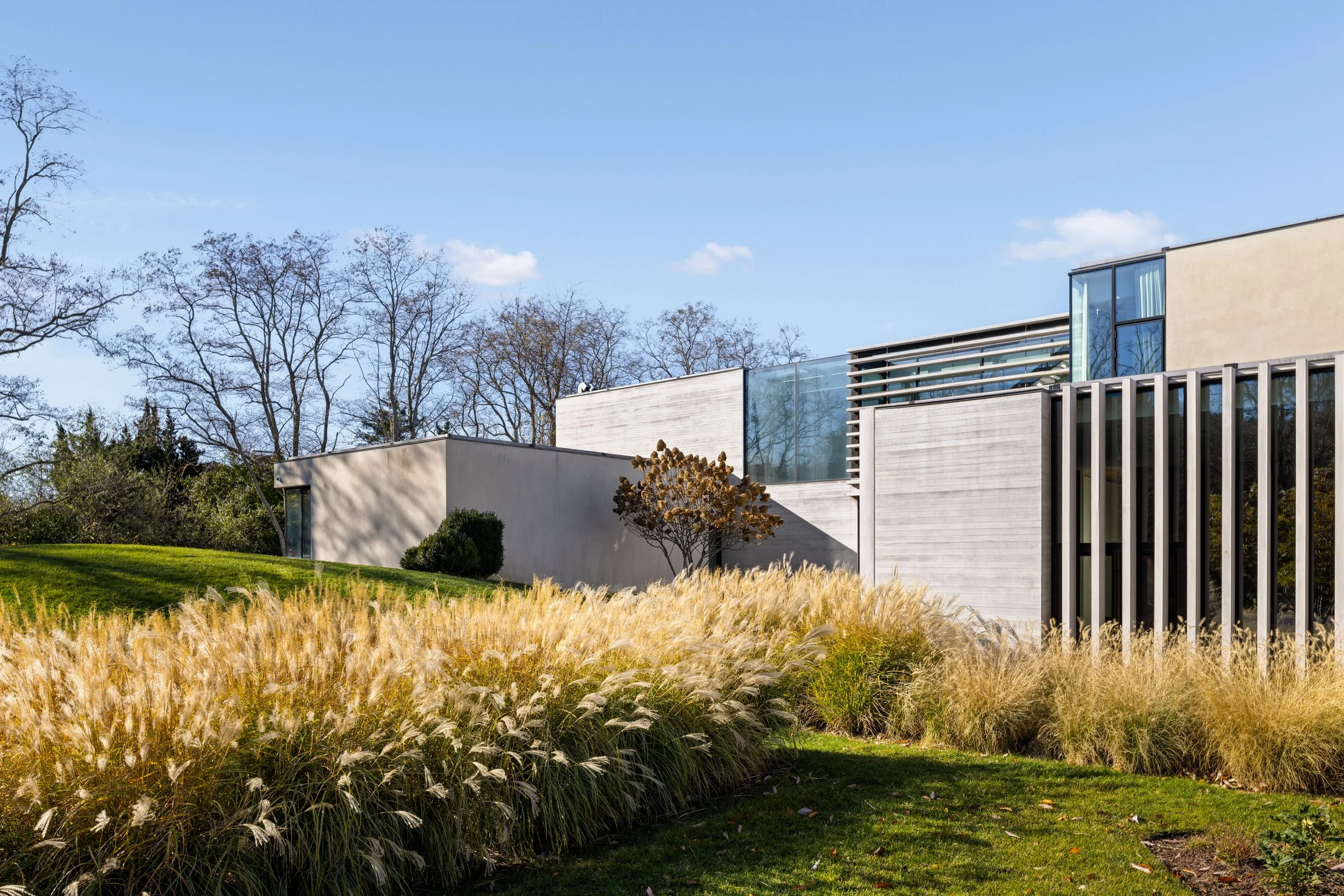 Modern residential building with a flat roof, large glass windows, and a combination of concrete and metal exterior, surrounded by landscaped yard and golden ornamental grasses, under a clear blue sky.