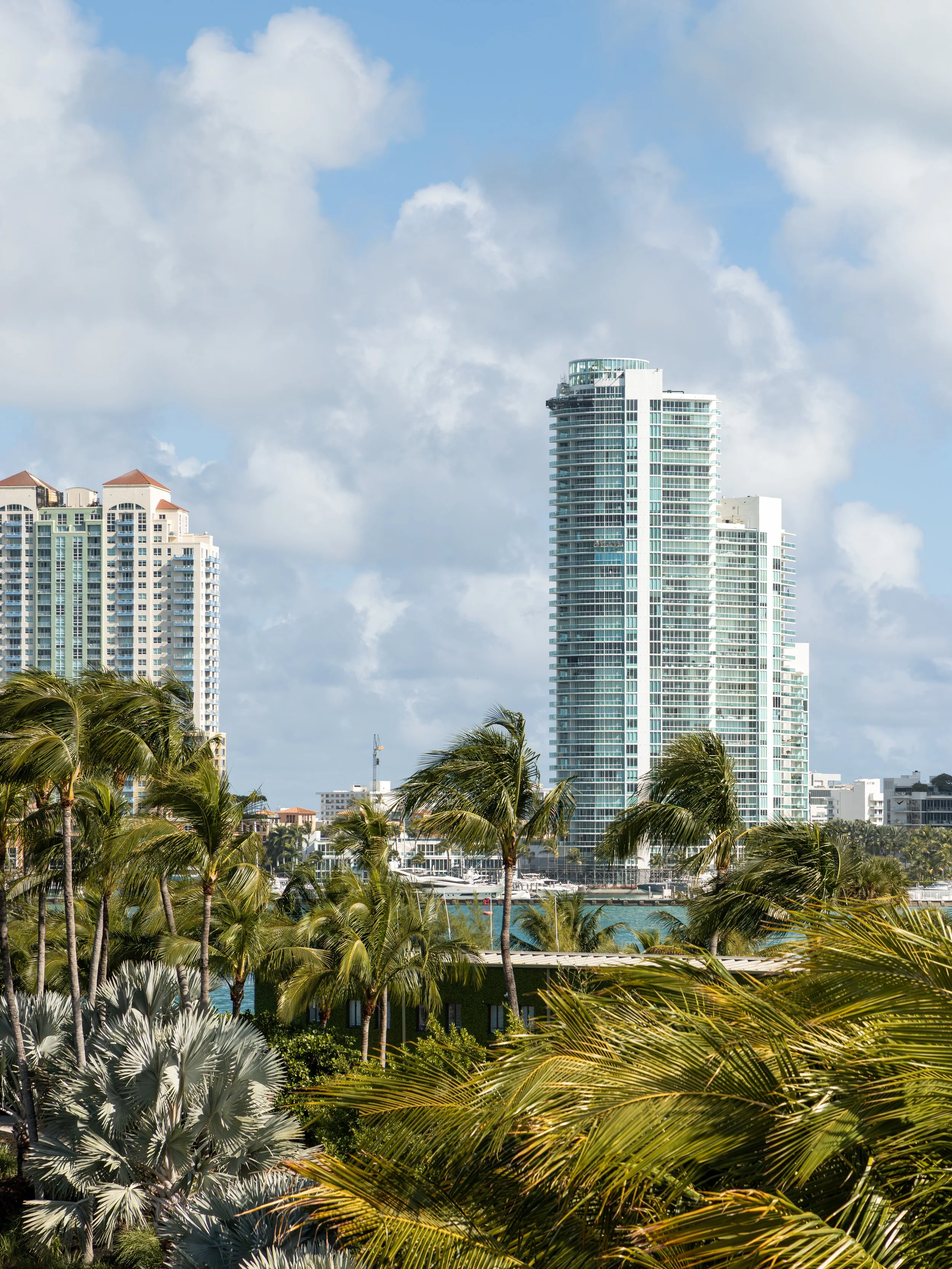City skyline with tall modern buildings and lush palm trees in the foreground under a partly cloudy sky.
