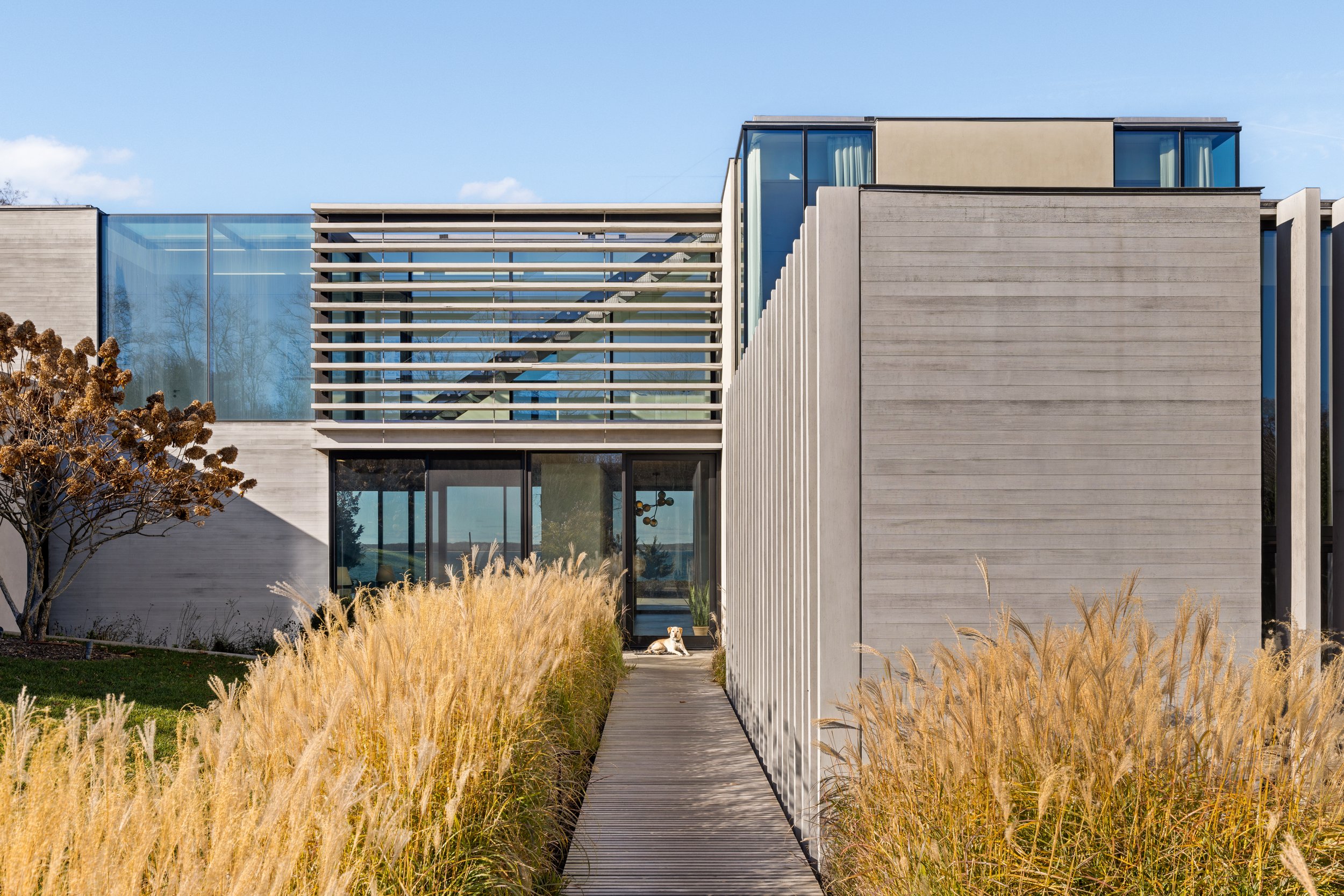 Modern house with large glass windows and gray concrete walls, surrounded by tall yellow grass and a pathway leading to the entrance, with a dog sitting on the door mat.