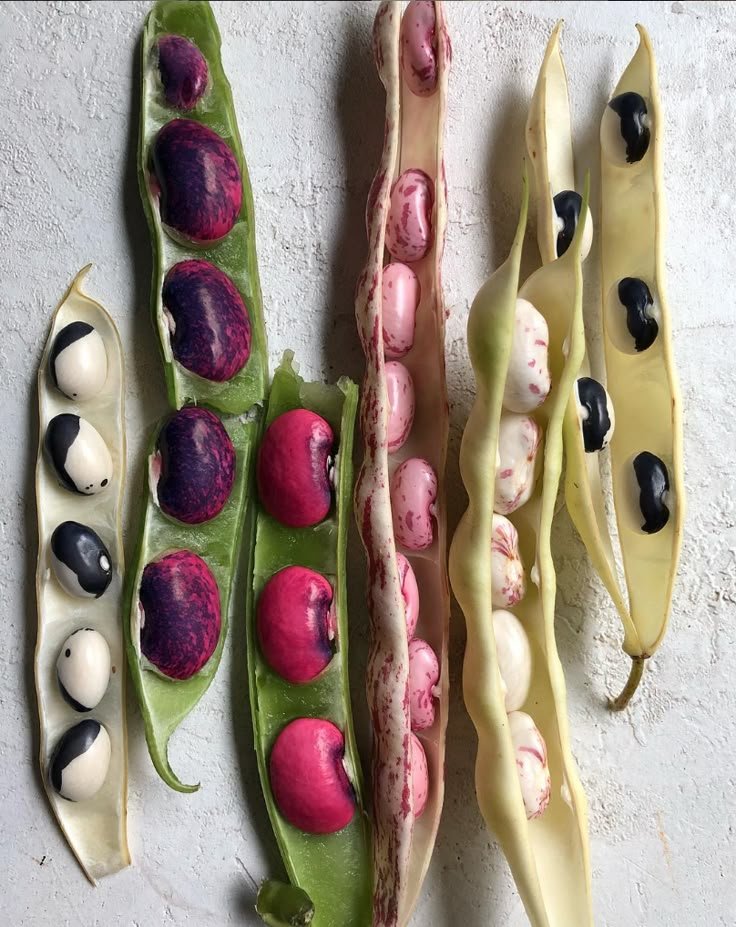 téléchargement (78).jpeg