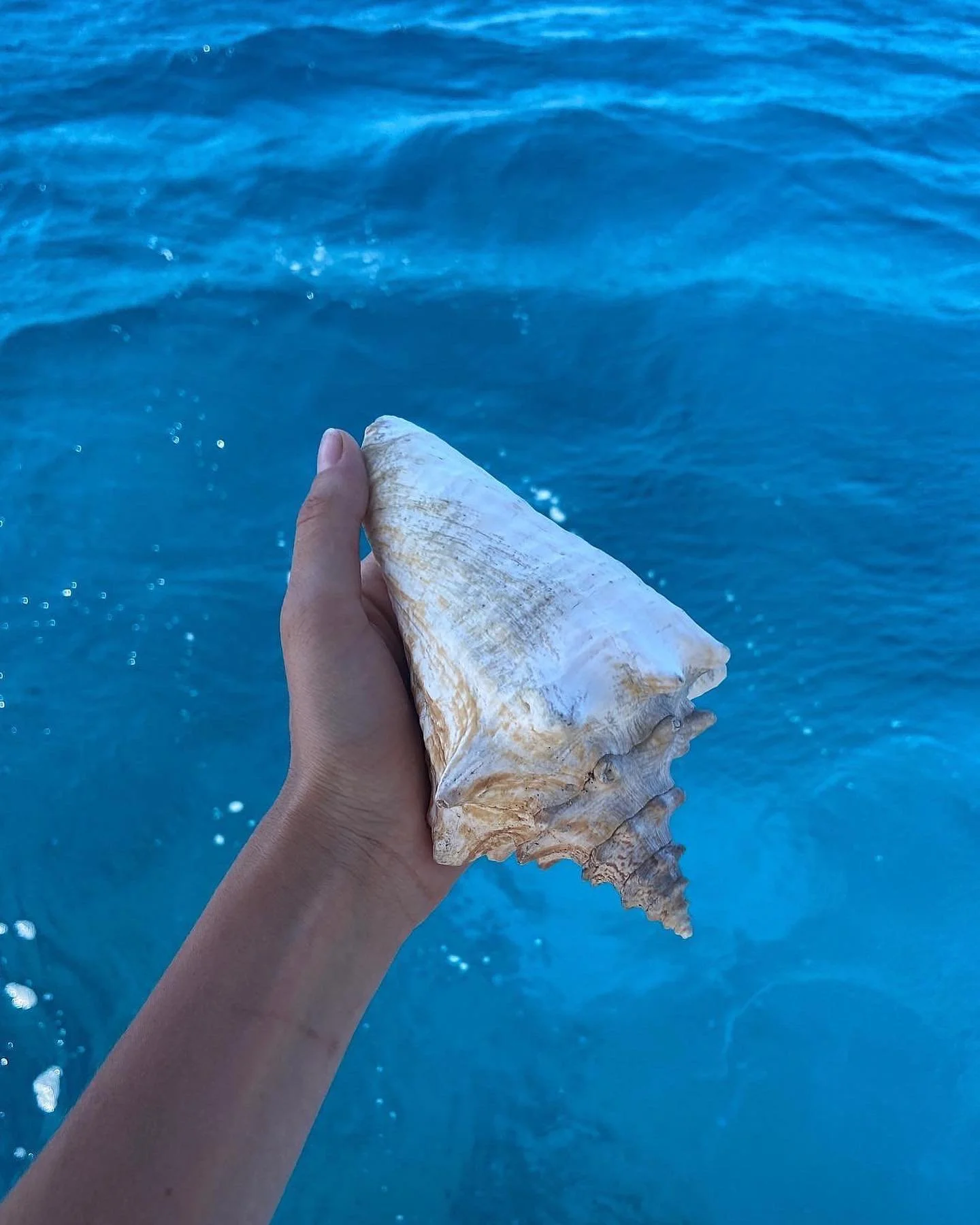 co-working with the sea 🐚