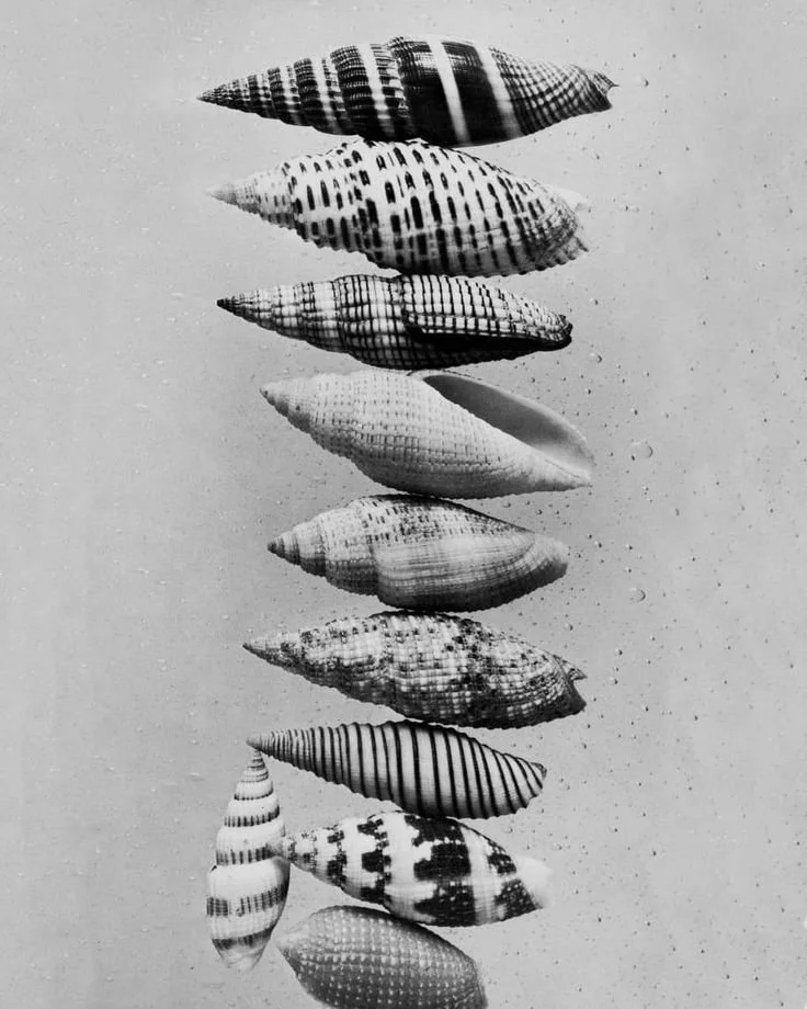 Register - Login.jpeg