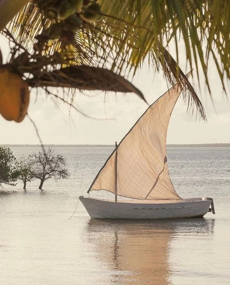 téléchargement (87).jpeg