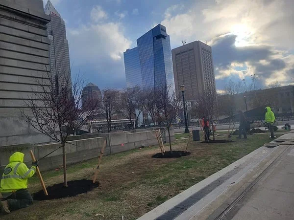 Downtown 5.jpg