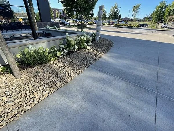 IMG_4147-min (1).JPEG