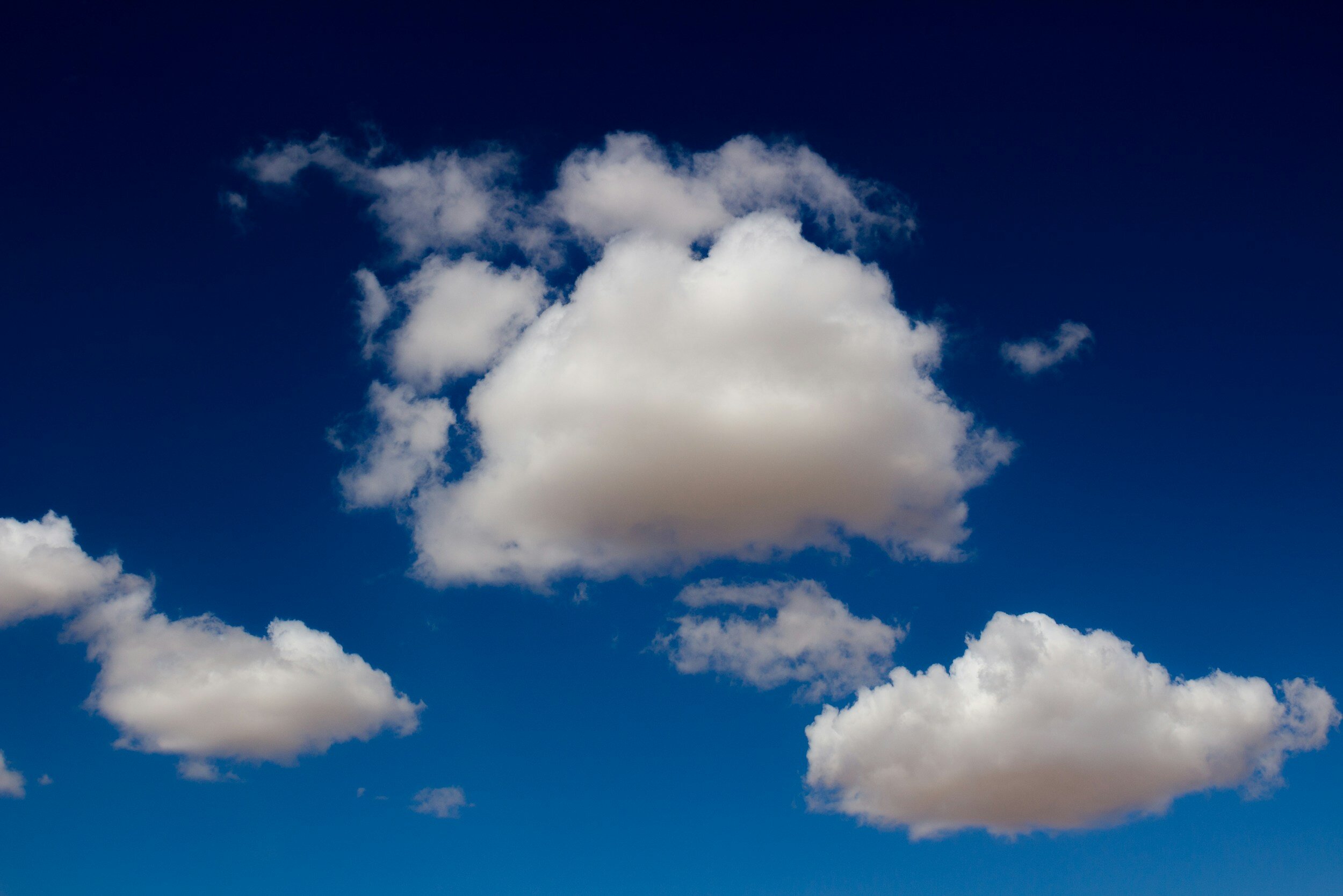 The Cloud Advantage: Why SMEs Should Soar High
