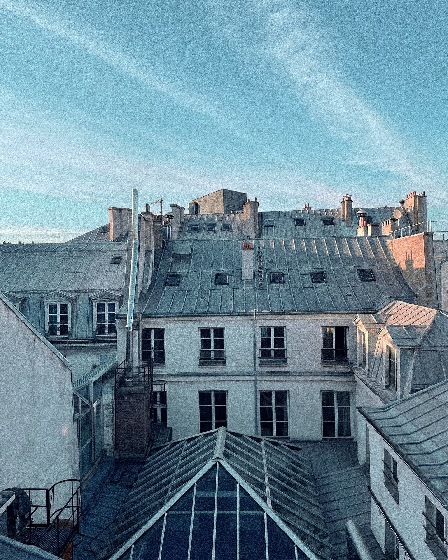 Parisian rooftop views