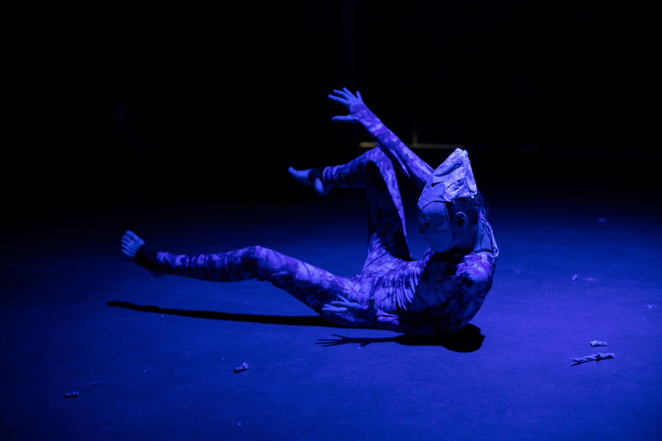 performanceday2_431.jpg