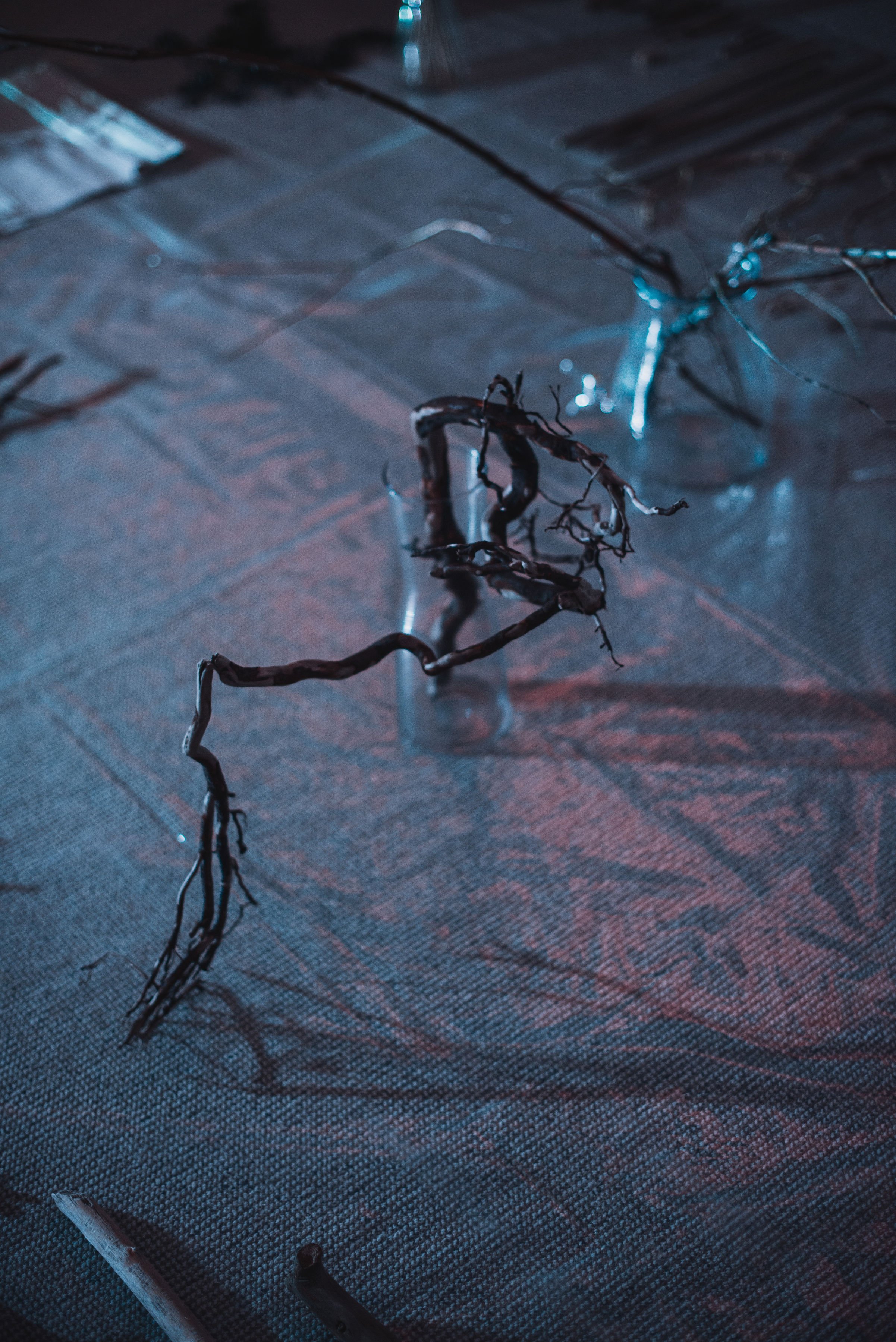 plaksteris-17.JPG