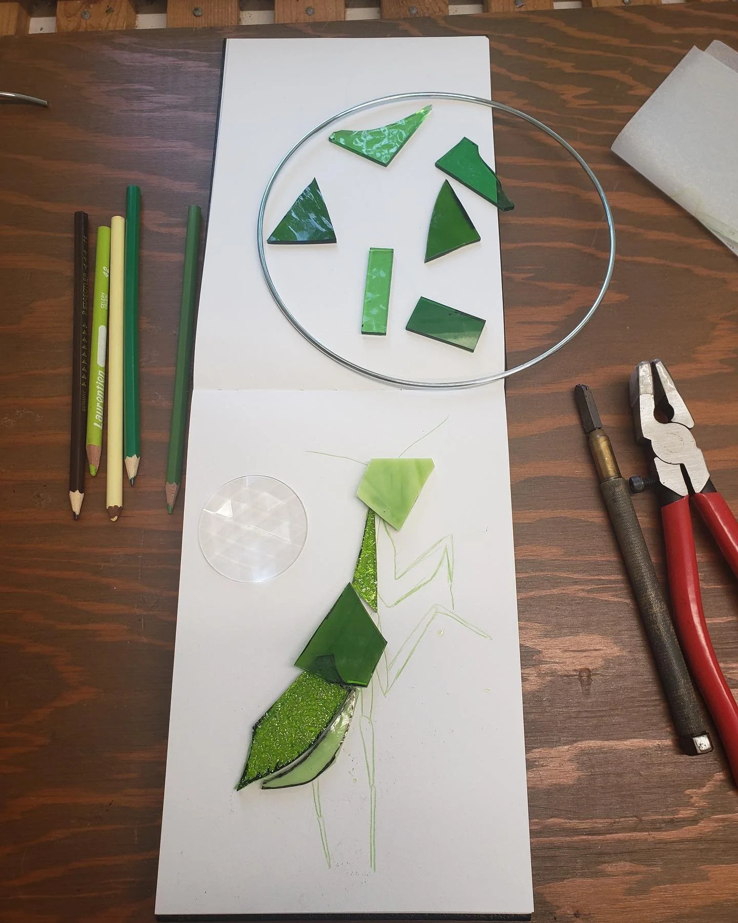 I was looking for a symbol of peace, something calming and wise for this next one. A bday present for my sister! I went to bed pondering what that could be (other than a dove) and woke up to a praying mantis on my window screen! And so the idea was b
