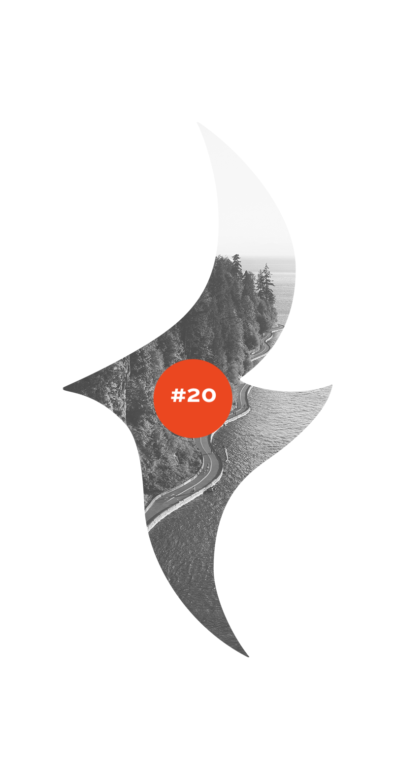 Study #20