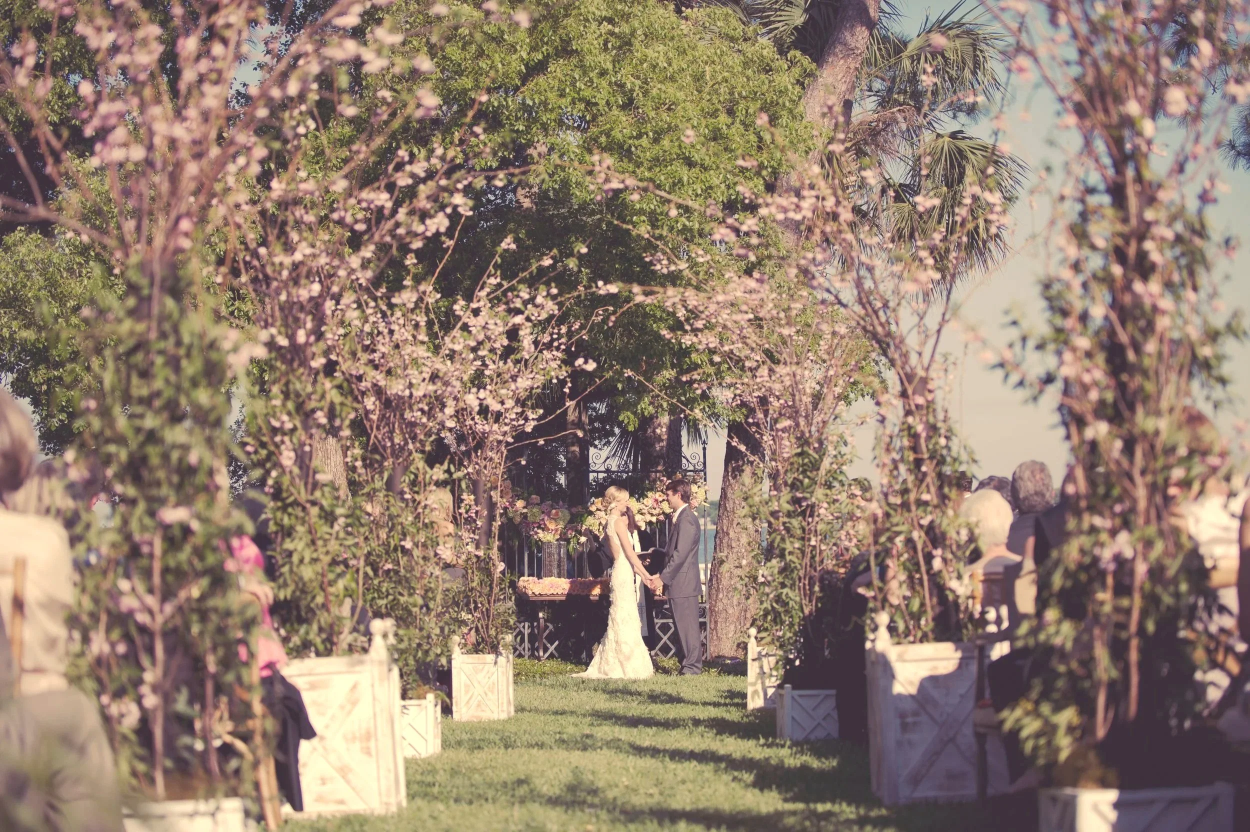 The Tampa Rose Garden Wedding