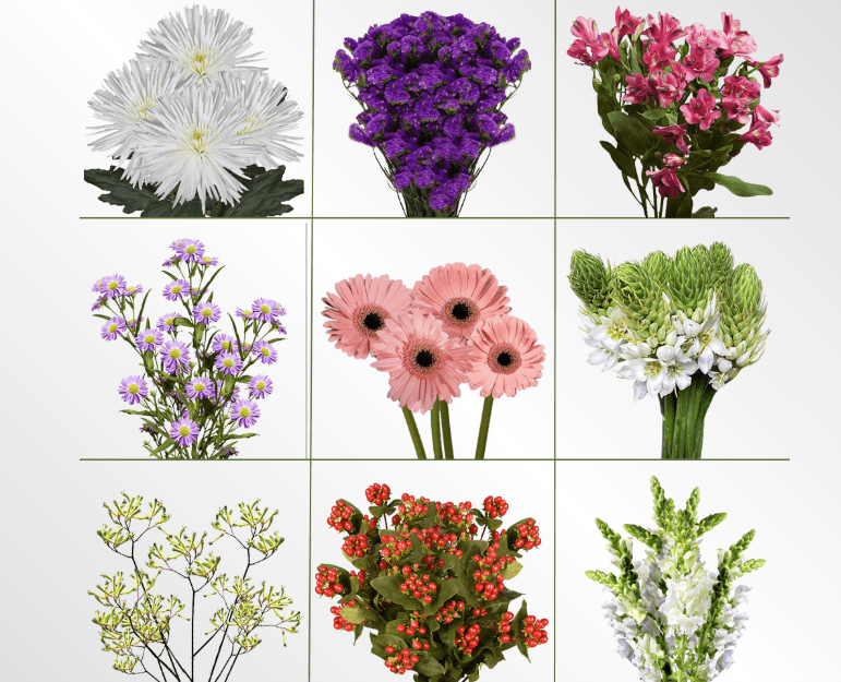 Screenshot 2026-03-21 115106.png