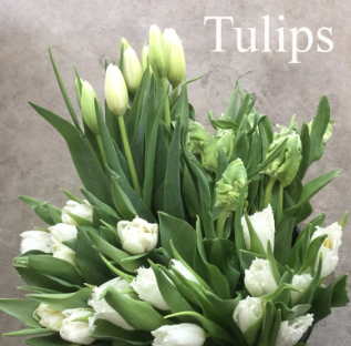 Screenshot 2026-03-21 120353.png