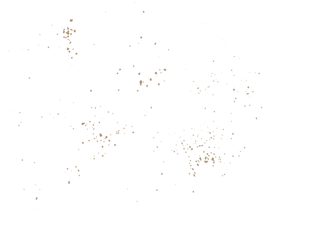 White background with scattered brown paint splatters.