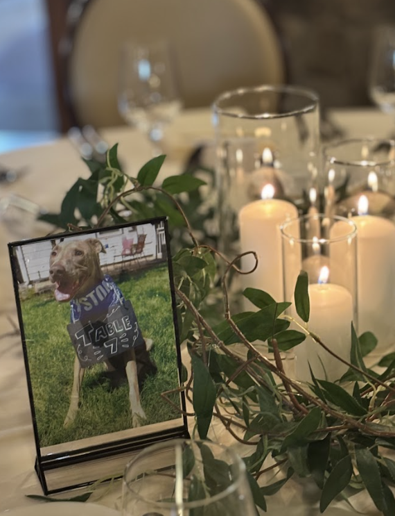 Screenshot 2025-12-11 152036.png