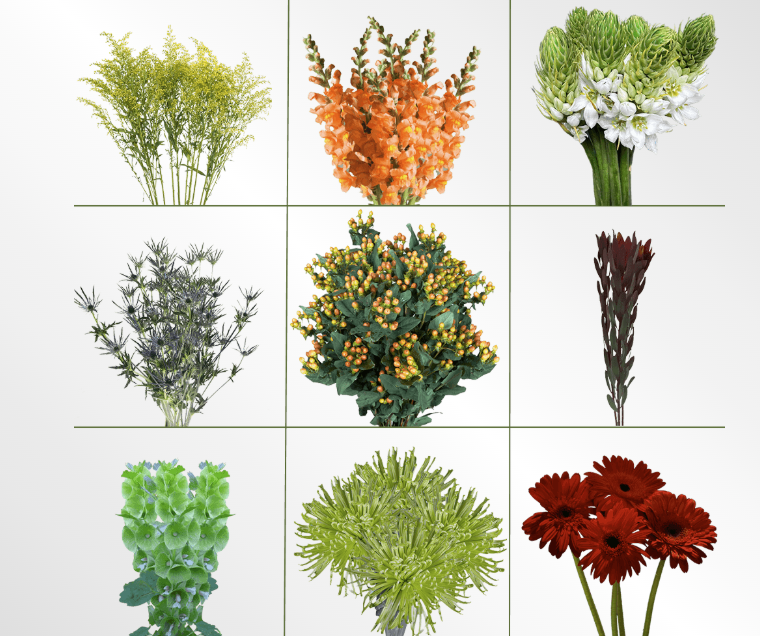 Screenshot 2026-03-21 115038.png