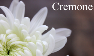 Screenshot 2026-03-21 120048.png