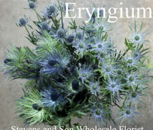 Screenshot 2026-03-21 115901.png