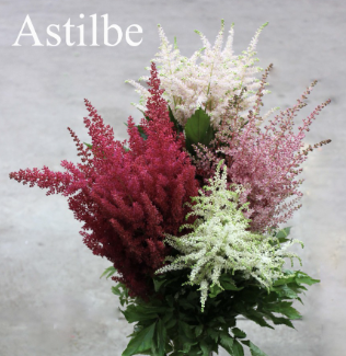 Screenshot 2026-03-21 115650.png