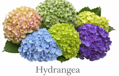 Screenshot 2026-04-05 195022.png