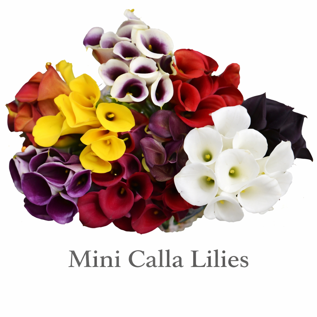 Vibrant mini calla lilies bouquet.png