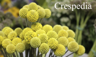 Screenshot 2026-03-21 115813.png