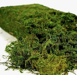 Centerpiece Moss