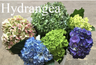 Screenshot 2026-03-21 115952.png