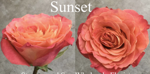 Screenshot 2026-03-21 120659.png