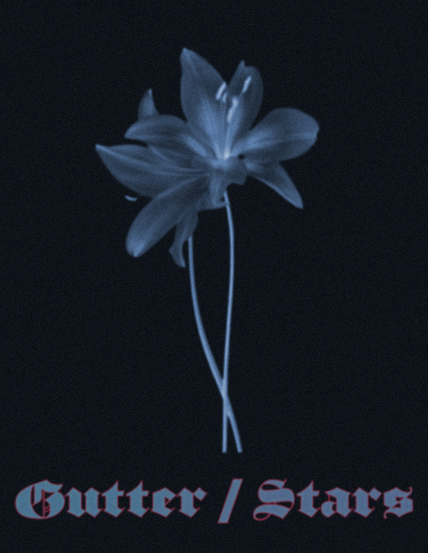 gutter  stars.png