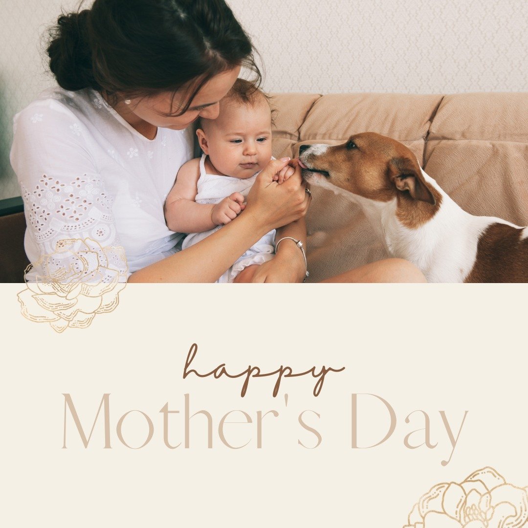 🌸 Happy Mother's Day! 🌸

To all the amazing moms out there, both human and pet, today is for you! 💖 Whether you're a mom to two-legged or four-legged children, your love, care, and dedication make the world a better place. 🌍✨

For the human moms 