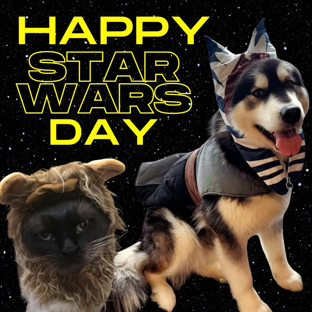 May the Fourth Be With You! 🚀✨

In a galaxy not so far away, our staff pets are channeling their inner Jedi and Sith lords to celebrate Star Wars Day in style! 🌌🐾 From fluffy Wookiees to fierce Sith warriors, our furry friends are ready to embark 