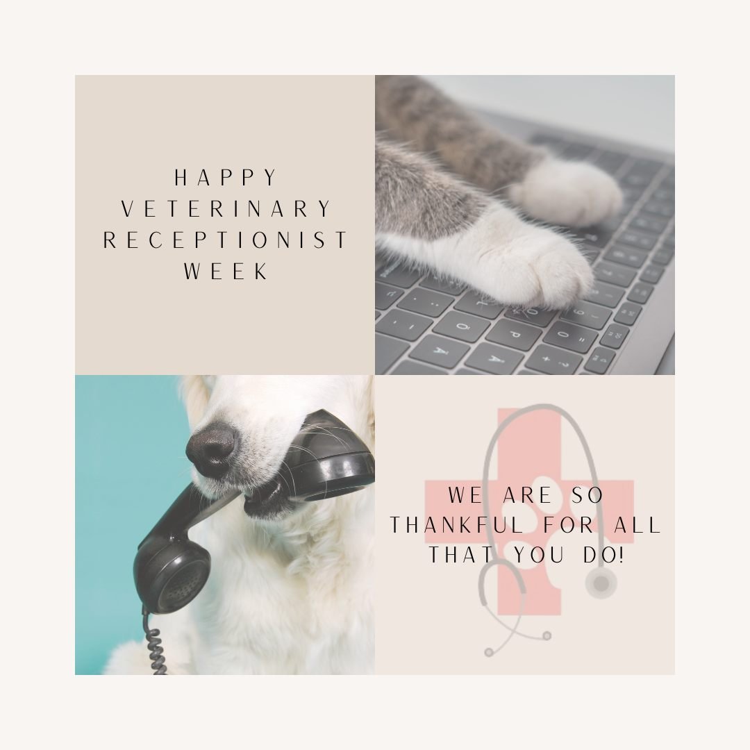 💛The last full week of April is spent celebrating our Veterinary Receptionists for all their commitment and talent.💛

Horse Heaven Hills Pet Urgent Care's receptionists are a vital part of our hospital. They provide invaluable communication and car