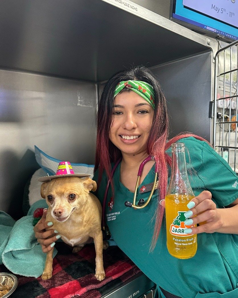 ๐๐ฎ Happy Cinco De Mayo from Horse Heaven Hills Pet Urgent Care! ๐ฎ๐
Today we celebrated with a fun game of Lotería, a delicious Nacho bar, and some festive decorations! ๐๐ A huge thank you to our amazing Spanish Team for organizing such
