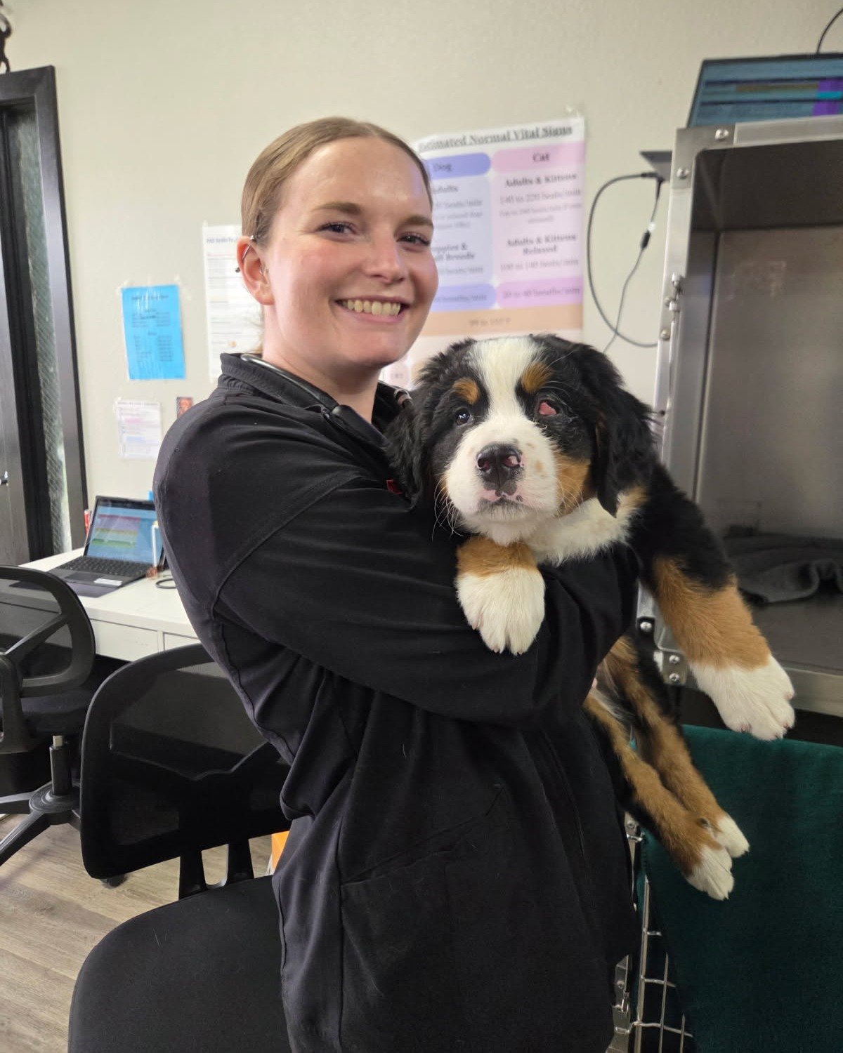 Pet of the WeekπΎ
Meet Gus Gus, our adorable 8-week-old Bernese Mountain Dog! πΆπ Gus Gus came in on urgent care for a bit of a mishap - a piece of cheatgrass πΎ got stuck in his eye! π³ But with the help of Dr. Ott and some sedation, we were able