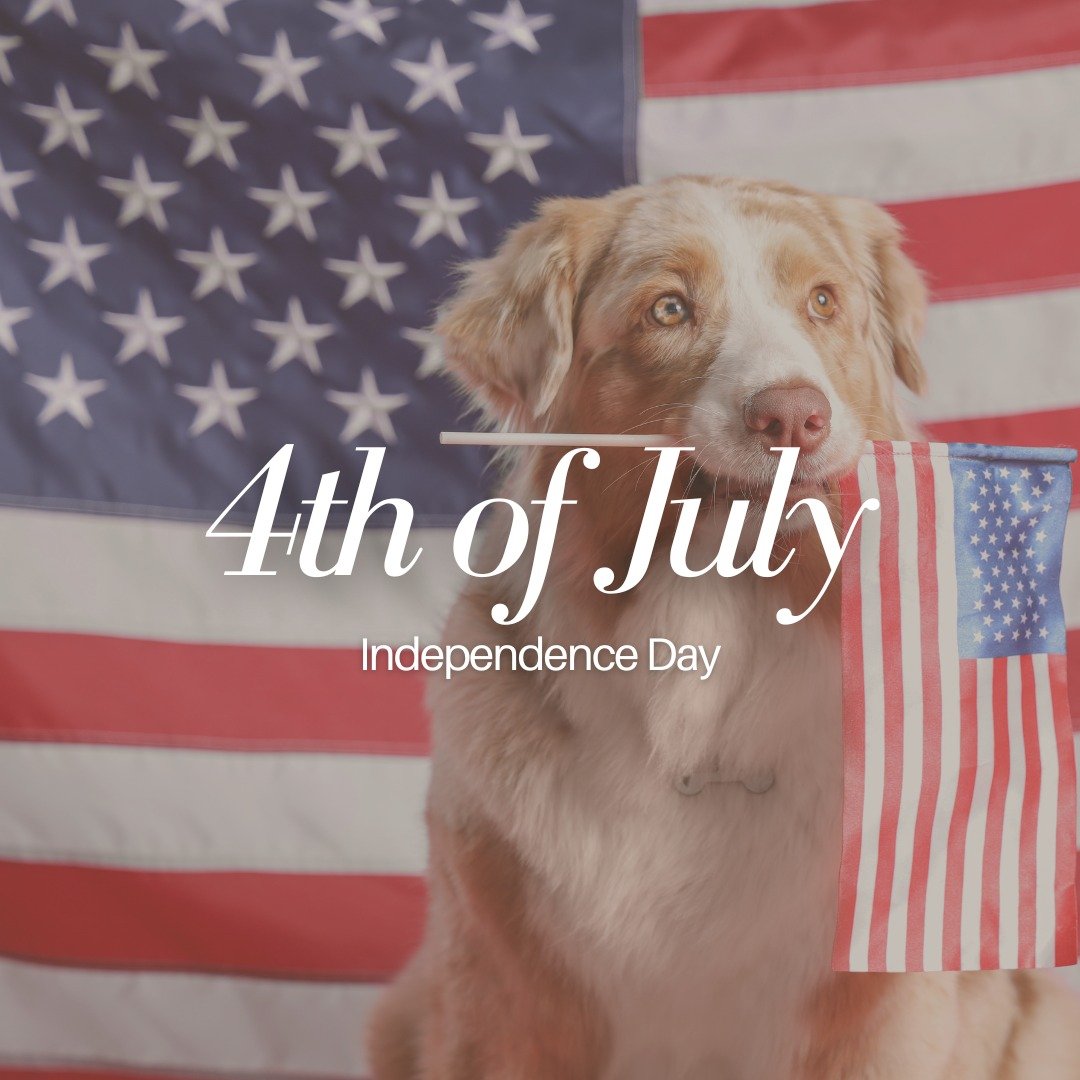 πΊπΈ Happy 4th of July from Horse Heaven Hills Pet Urgent Care! π
We’re here to keep your pets safe and healthy this holiday! Please note, we’ll be open 8:00 AM - 5:00 PM today. π
We know loud fireworks can make pets anxious, so remem
