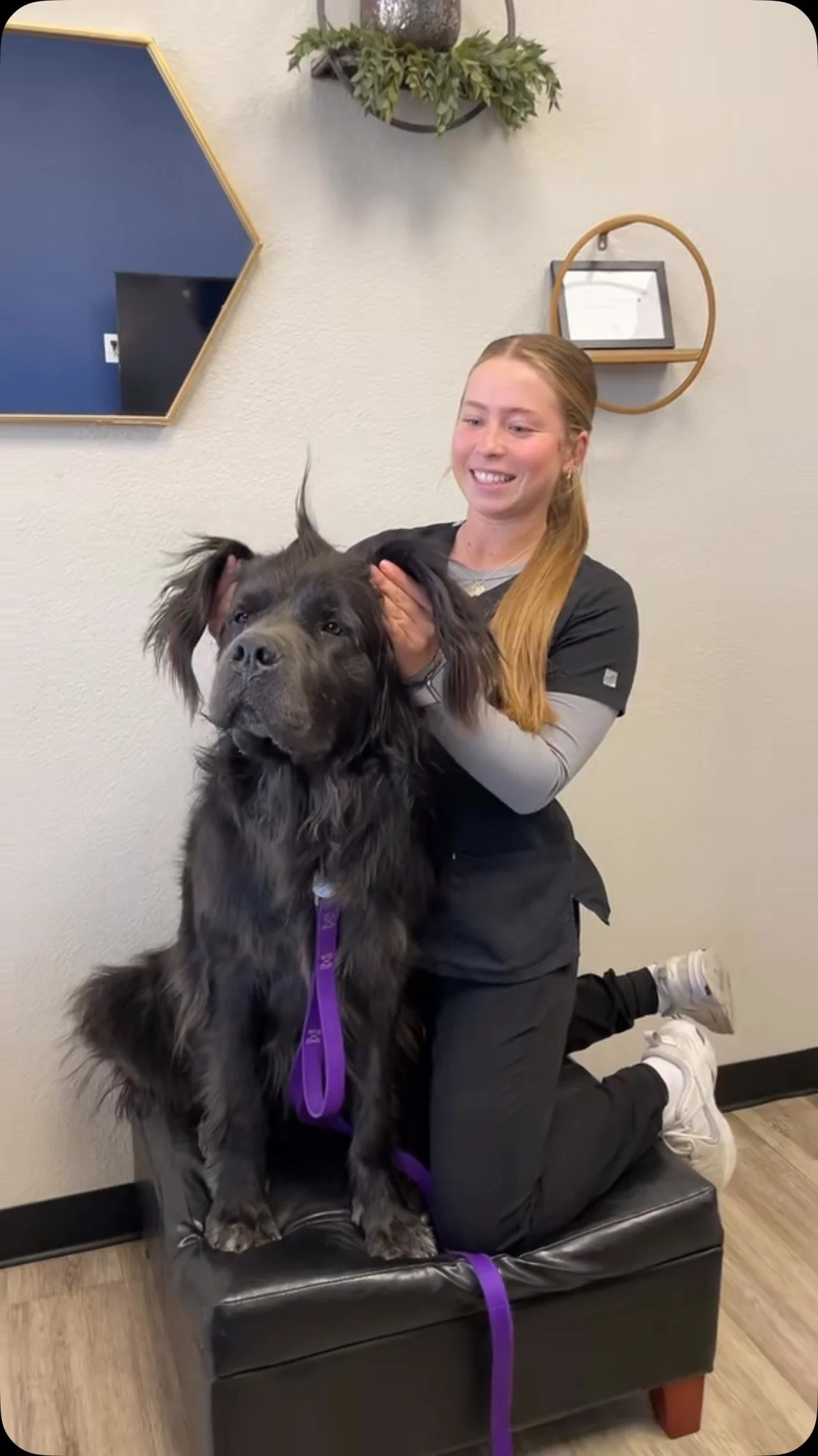 Moose is too big for the stomps π«π
.
.
.
.
.
#horseheavenhillspeturgentcare #h3puc #petoftheweek #petcare #vetclinic #puppylove #kennewick #h3peturgentcare #washington