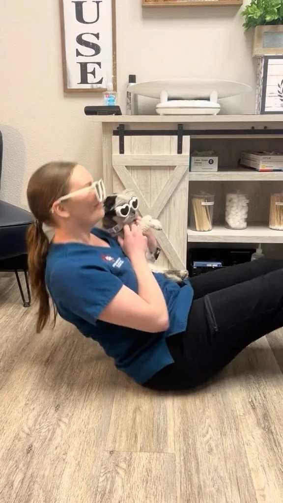 License? Registration? Nope, just vibes and a rabies certificate ππ¨
.
.
.
#h3puc #horseheavenhillspeturgentcare #petcare #vetclinic #puppylove #kennewick #h3peturgentcare #washington #daddyletmedrive