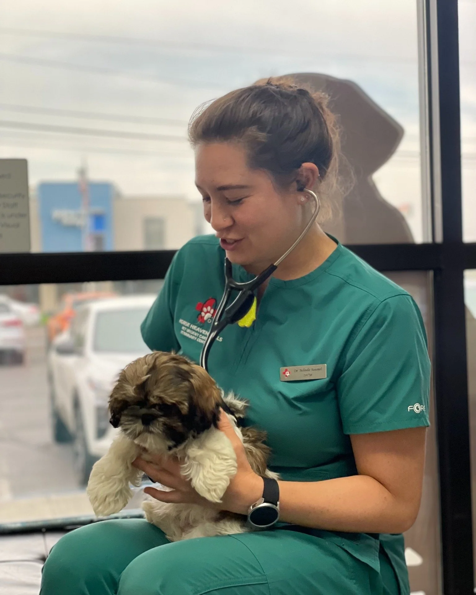 ๐พ Meet Cash! ๐พ
This adorable 11-week-old Shih Tzu came in for his very first puppy wellness exam with Dr. Baumel at Horse Heaven Hills Pet Urgent Care! ๐ฉบโจ Cash was such a sweet little guy and we loved meeting him! ๐
#H3PUC #NewPuppy #PuppyLove