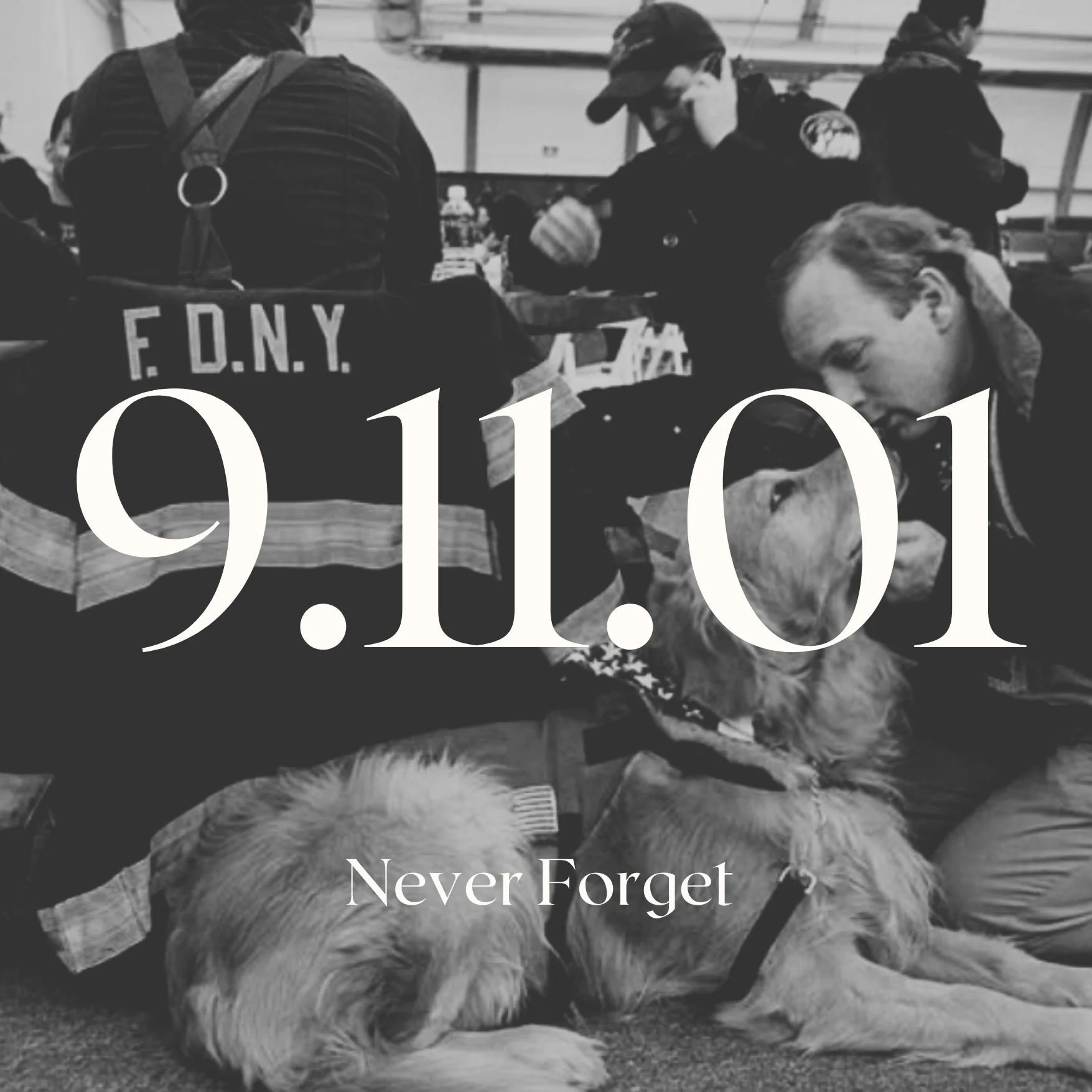 Today, we pause to remember and honor the brave rescuers, working dogs, and all the loved ones lost on that tragic day. Among the many heroes were incredible K9s who worked tirelessly to save lives, provide comfort, and assist in the search and rescu