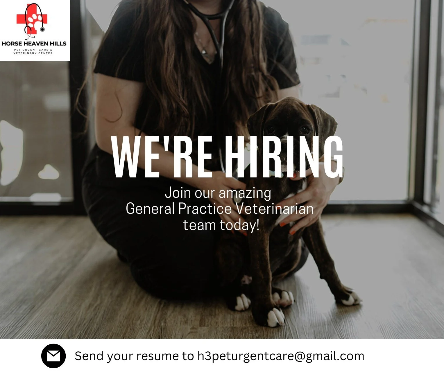 πΎβ¨ We’re growing our team! β¨πΎ
Do you know a veterinarian who’s passionate about pets, people, and practicing exceptional medicine? π We’re looking for a General Practice Veterinarian to join our incredible crew!
βοΈ Flexible sch