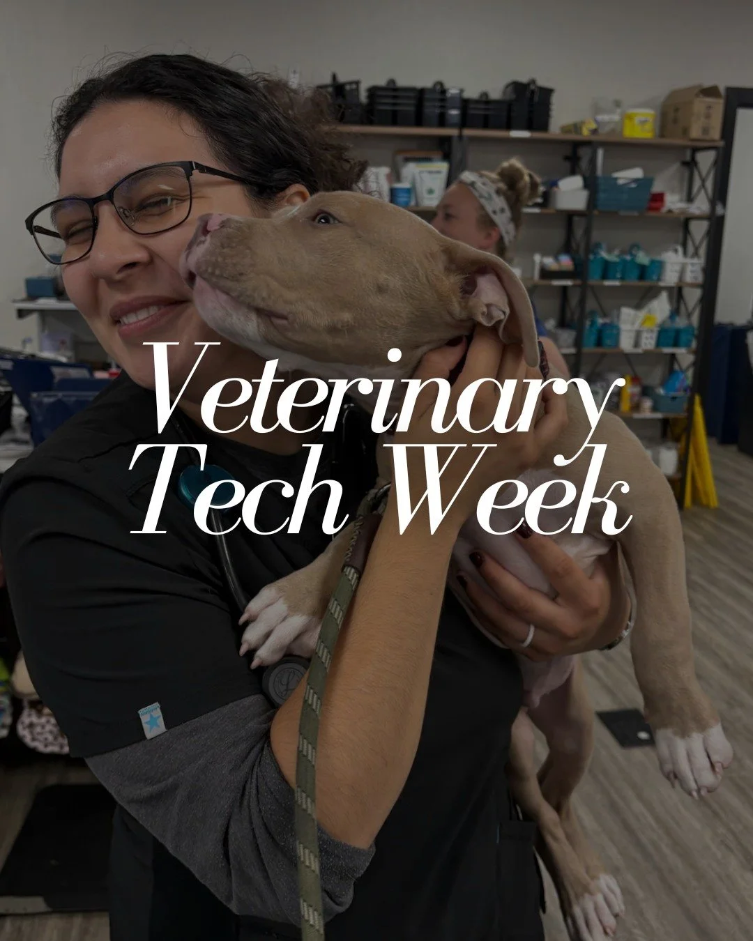 ππΎ Happy Veterinary Technicians Appreciation Week! πΎπ
Oct 12th -Oct 18th
At Horse Heaven Hills Pet Urgent Care, this week shines a spotlight on our incredible team members who help keep the clinic running and pets healthy.
Hospital Assistants