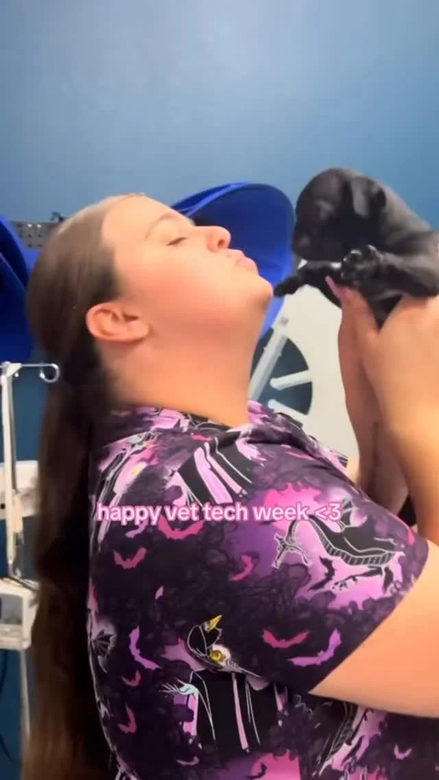 And that’s a wrap on tech week β€οΈπΎ
#h3puc #horseheavenhillspeturgentcare #petcare #vetclinic #kennewick #h3peturgentcare #washington #puppylove